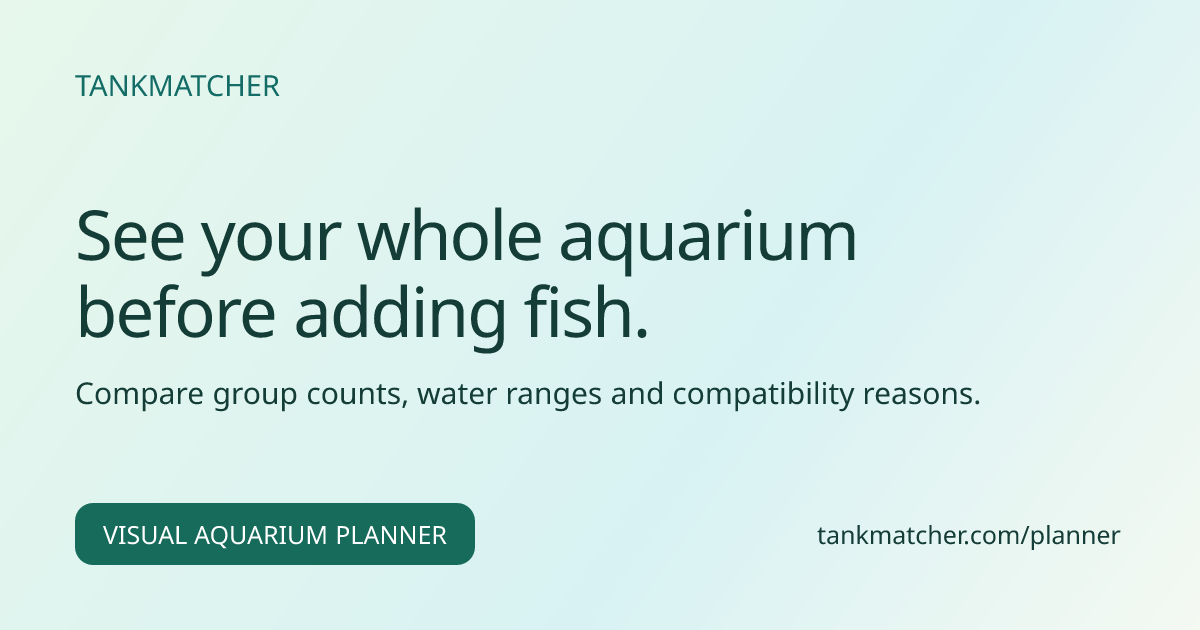Community Aquarium Planner | TankMatcher